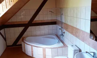 RADIM U BRANTIC -  luxusní vila - foto číslo 1