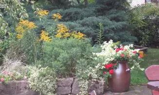 HUTĚ U PŘÍBRAZE - chalupa - foto číslo 17