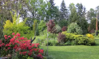 HUTĚ U PŘÍBRAZE - chalupa - foto číslo 16