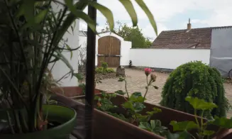 PLUHŮV ŽĎÁR - rekreační dům s přítomností majitele - foto číslo 7