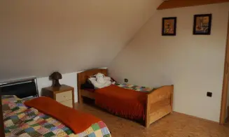 PLUHŮV ŽĎÁR - rekreační dům s přítomností majitele - foto číslo 13