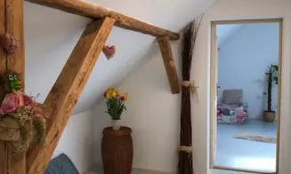 PLUHŮV ŽĎÁR - rekreační dům s přítomností majitele - foto číslo 4