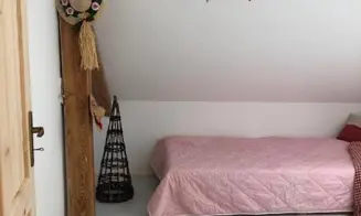 PLUHŮV ŽĎÁR - rekreační dům s přítomností majitele - foto číslo 15