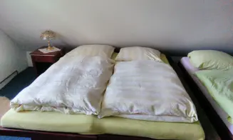 NOVOSEDLY  - chalupa - foto číslo 5