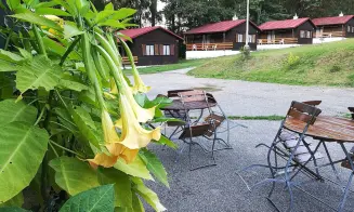 BRANDLÍN - 10 srubů - foto číslo 9