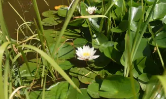 BRANDLÍN - 10 srubů - foto číslo 27