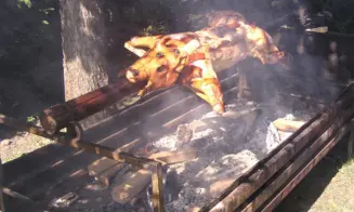 ČESKÁ OLEŠNÁ - chalupa - foto číslo 16