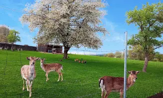 ŘÍPEC - apartmán - foto číslo 15