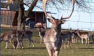 ŘÍPEC - apartmán - foto číslo 11
