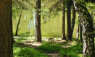 JIVNO - VYHLÍDKY - chata - foto číslo 3