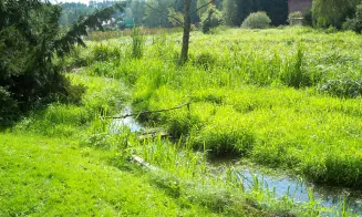 ŠEVĚTÍN - chata - foto číslo 21