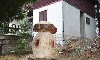 ŠEVĚTÍN - chata - foto číslo 1