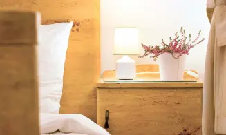 KOSTELEC NAD VLTAVOU -  apartmány - foto číslo 23