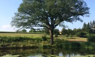 KOSTELEC NAD VLTAVOU -  apartmány - foto číslo 5