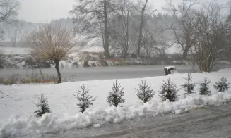 VNOROVICE - chata - foto číslo 4