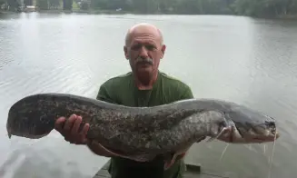 JIVNO - chatová oblast - foto číslo 16