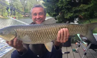 JIVNO - chatová oblast - foto číslo 9