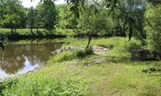 BŘEHY U TÝNA - chata - foto číslo 12