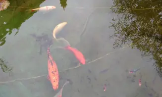 SKALICE - apartmán - foto číslo 35