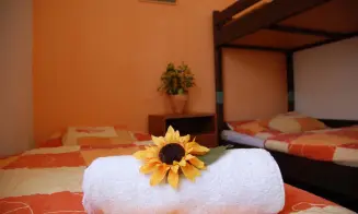 NOVOSEDLY NAD NEŽÁRKOU - chalupa - foto číslo 15