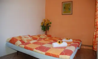 NOVOSEDLY NAD NEŽÁRKOU - chalupa - foto číslo 20