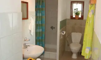 NOVOSEDLY NAD NEŽÁRKOU - chalupa - foto číslo 3