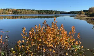 BLATO - chata - foto číslo 21