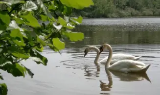 KLENÍ - chata - foto číslo 15