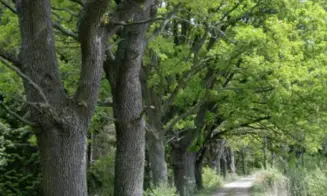 KLENÍ - chata - foto číslo 16