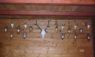 ZADNÍ ZBOROVICE - chata - foto číslo 7