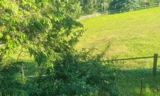 BLAŽEJOV - chata - foto číslo 3