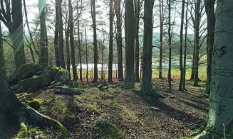 ZALUŽÍ - s možností vlastního rybolovu a vířivka - foto číslo 10