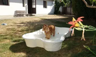 OBORA U CERHONIC - chalupa - foto číslo 35