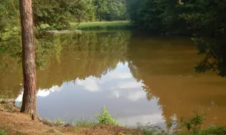 LOČENICE - chata - foto číslo 22