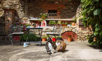 MAHOUŠ *** - apartmán - foto číslo 15