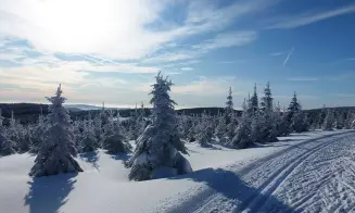 DESNÁ - chalupa - foto číslo 15