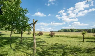 DOLNÍ OLDŘÍŠ - chalupa na samotě - foto číslo 2