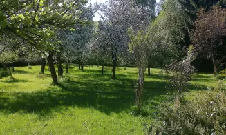 JÍLOVÉ U DRŽKOVA - chalupa - foto číslo 24