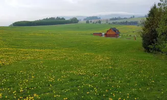 JÍLOVÉ U DRŽKOVA - stylová roubenka - foto číslo 8