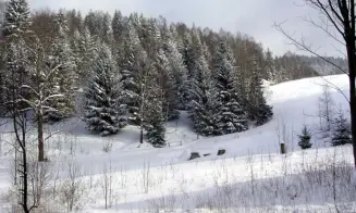 DESNÁ - chalupa - foto číslo 10