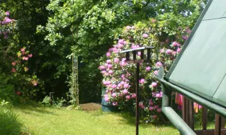 NOVÁ  VES U CHRASTAVY - chata - foto číslo 10