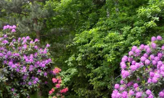 NOVÁ  VES U CHRASTAVY - chata - foto číslo 9