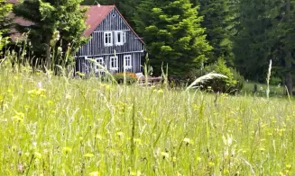 PASEKY NAD JIZEROU *** - roubenka - foto číslo 13