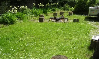 RUPRECHTOV - rybolov 20 m od chaty - foto číslo 16