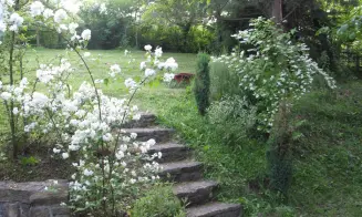 KORYČANY  - chata - foto číslo 17