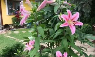 PODMYČE -  chalupa s bazénem - foto číslo 49