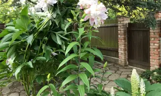 PODMYČE -  chalupa s bazénem - foto číslo 31