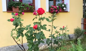 PODMYČE -  chalupa s bazénem - foto číslo 32