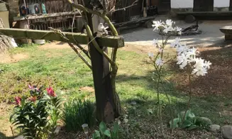 PODMYČE -  chalupa s bazénem - foto číslo 48