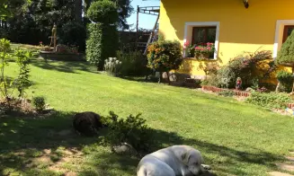 PODMYČE -  chalupa s bazénem - foto číslo 14